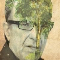 Doug Knott's Solo Show LAST OF THE KNOTTS Comes to SoHo Playhouse, Now thru 12/8