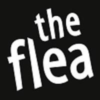 Joshua Cohen Named New General Manager of The Flea Theater