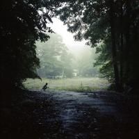 The Committee + AKArt Opens THE PHOTOGRAPHY SHOW Today