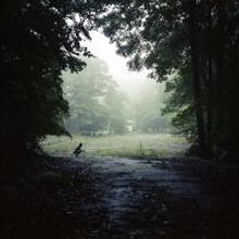 The Committee + AKArt Opens THE PHOTOGRAPHY SHOW Today