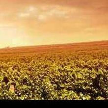 The Pacific Symphony Presents Fundraising Event, The Pacific Coast Wine Festival, 3/1