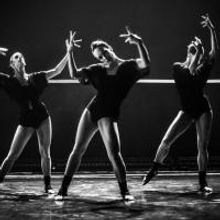 BWW Reviews: GALLIM DANCE Gets Weird