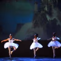 Debbie Allen Dance Academy Wins 7th Annual Goldstar National Nutcracker Award