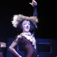 BWW Reviews: CATS at Alpha/Omega Players is Memorable Photo