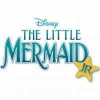 Eagle Theatre's Theatre for Young Performers Summer Camp to Present THE LITTLE…