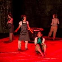 Twin Cities Horror Festival Organizes as LLC; Executive Director Selected