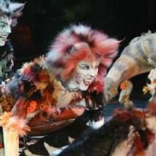 30 Days Of The 2014 Tony Awards: Day #22 - CATS
