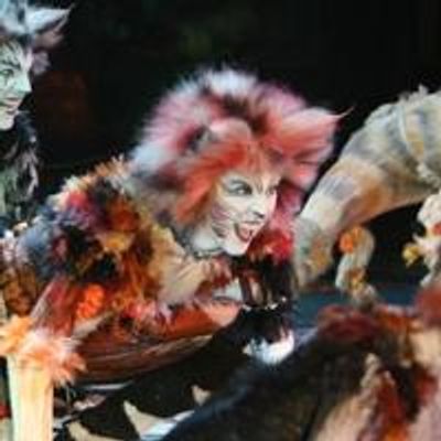 30 Days Of The 2014 Tony Awards: Day #22 - CATS