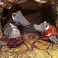 BAREFOOT PUPPETS & More Set for Sandglass' 2014 Winter Sunshine Series