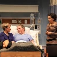 BWW Reviews: THE LYONS at Round House Theatre - Hear it Roar
