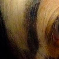 BWW Reviews: PACIFIC OVERTURES, Union Theatre, July 4 2014 Photo