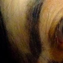 BWW Reviews: PACIFIC OVERTURES, Union Theatre, July 4 2014