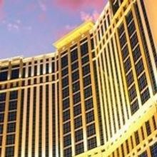 AMERICA'S GOT TALENT LIVE Returns to the Palazzo Theatre, 2/25