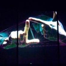 ADT's PROXIMITY Wins Australian Dance Award