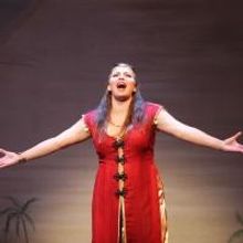 BWW Reviews: Go Go Go to Music Theatre Wichita's JOSEPH AND THE AMAZING TECHNICOLOR D