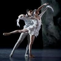 Ballets de Monte-Carlo presents Jean-Christophe Maillot's LAC (AFTER SWAN LAKE)…