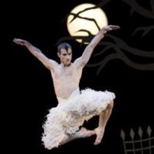 Matthew Bourne's SWAN LAKE to Play Birmingham Hippodrome, Begin. 5 Feb. 2014
