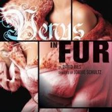 Rufus Collins and Amanda Drinkall Set to Lead Goodman Theatre's VENUS IN FUR