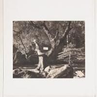 'THE PROCESS AND THE PAGE' Exhibition on View thru 8/17 at Phoenix Art Museum