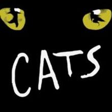 All-Canadian CATS Begins Tonight at Panasonic Theatre