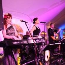 Photo Flash: 2014 Mayor's Charity Ball Raises Funds and Awareness