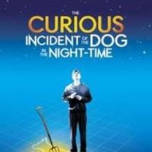 BWW Invite: Attend SAG Foundation Career Conversations with the Cast of THE CUROUS…