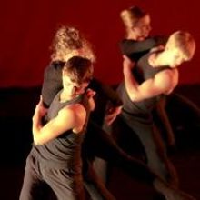 Photo Flash: First Look at DanceWorks Chicago's DANCE CHANCE