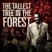 Kansas City Rep Opens 2013-14 Season with THE TALLEST TREE IN THE FOREST Tonight