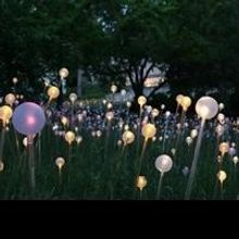 Bruce Munro Exhibits Light-Based Works at Franklin Park Conservatory and Botanical…