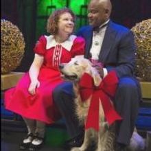 Photo Flash: New Production Shots from ANNIE at Young People's Theatre