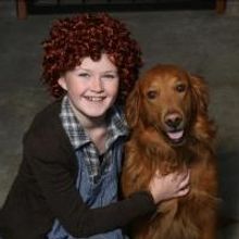 Town Hall Arts Center Presents ANNIE, Now thru 12/29