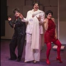 Photo Flash: First Look at About Face Theatre's WE THREE LIZAS