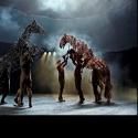 Behind The Scenes: WAR HORSE Plays Birmingham Hippodrome from October 2013