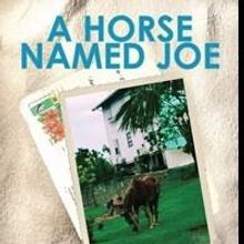 Lisa Loomis Releases A HORSE NAMED JOE