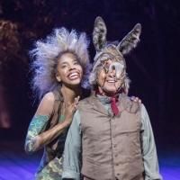 Photo Flash: Full Production Shots of Old Globe's A MIDSUMMER NIGHT'S DREAM…