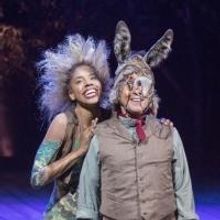 Photo Flash: Full Production Shots of Old Globe's A MIDSUMMER NIGHT'S DREAM - Krystel
