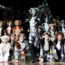 CATS is Officially Aiming for Broadway Return in 2016; Fall or Spring?