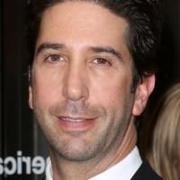 David Schwimmer to Lead ABC's Comedy Pilot IRREVERSIBLE