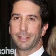David Schwimmer to Lead ABC's Comedy Pilot IRREVERSIBLE
