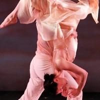 Amanda Selwyn Dance Theatre to Premiere RENEWAL in March