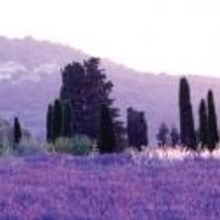 LA Master Chorale Sings Brahms' GERMAN REQUIEM and Lieberson's THE WORLD IN FLOWER, 1