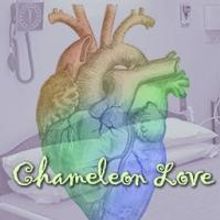 BWW Reviews: CHAMELEON LOVE Captivates Brookings
