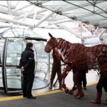 Photo Flash: WAR HORSE Equine Star Joey Celebrates 2,000 Performances in the West End