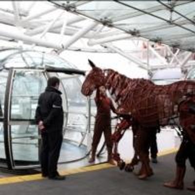 Photo Flash: WAR HORSE Equine Star Joey Celebrates 2,000 Performances in the West End