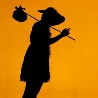 BWW Reviews: SHADOWLAND Is a Magical Journey to a World Beyond Sleep