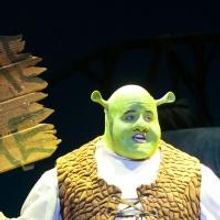BWW Reviews: 3D Theatricals Shines Bright Green with SHREK THE MUSICAL