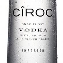 Sean 'Diddy' Combs and CIROC' Vodka Celebrate New Year's Eve in Saint Barts