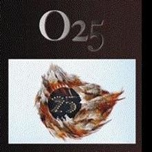 Stella Chan Releases New Photo Book Channeling Positive Energy