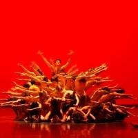 Bookings Open for John Neumeier Works in SPRING & FALL at Cape Town City Ballet