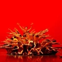 Bookings Open for John Neumeier Works in SPRING & FALL at Cape Town City Ballet